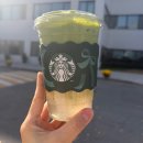 나의 코코 | 코코 말차 후기 맛있는 커스텀 팁 (스타벅스 신메뉴)