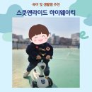 하이웨이스타 | 육아템, 킥보드 리뷰 스쿳앤라이드 하이웨이킥 vs 마이크로 미니투고 내돈내산 솔직 비교 후기