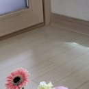 상상꽃배달