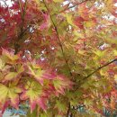 행복한 농원 이미지