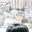 재열농장 이미지