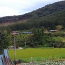 호정2리 이미지