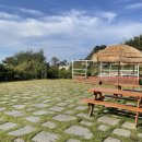 씨엔밤부 이미지