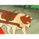 강원도 삼척