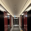 잠실실내수영장 | [trip.ZIP] 잠실 - 소피텔 앰버서더 서울 실내 수영장 후기 / 명불허전 사진 맛집 자쿠지 실내 풀