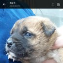 묘산면사무소 이미지