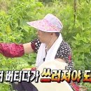 포톤테라피