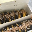 탄도항 공중화장실 (경기도) | Travel Again : 서울 근교 탄도항 당일치기-!(망둥어, 탄도바닷길, 회센터, 킹왕짱노을)