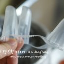 예감쪽갈비 이미지