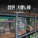 크레노바 - 거제시 계룡로2길 45 | 크레노바
