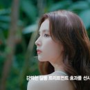 특별한 보태니컬 이미지