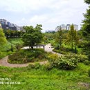 판교원로81번길 이미지