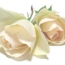 (주)두가 이미지