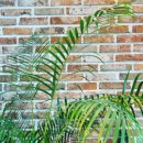 원신흥동행정복지센터 이미지