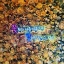 예루원 앞 조형물 | [제93회 춘향제] 남원축제 일정 등/춘향제 방문 후기