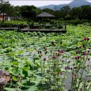 장이익어가는마을 이미지