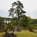 베어트리파크수목원 Daum카페