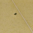 새남식당 | 지독한 감기에 걸려버렸다😷