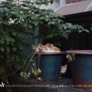 운칠기삼 이미지