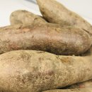 합심농장 이미지