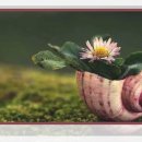 신천치안센터 이미지