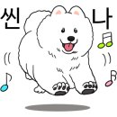 팔공 큰 돼지찌개 이미지