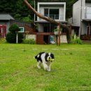 펜션큐브 이미지