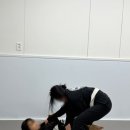 대화역 바로 앞에서 시작한 첫 주짓수 체험, 일산주짓수 인아웃 주짓수 방문 후기