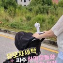 하마운동화손세탁 - 양천구 남부순환로70길 12 | 하마운동화손세탁