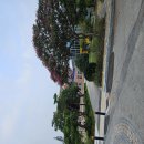 행안초교 이미지