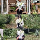 슬립인더가든 이미지