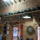 잎새바람 이미지