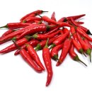 빨간고추 이미지