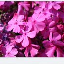 만물천하 이미지