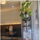 팔봉수피아 이미지