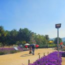 햇살농원 애견 이미지