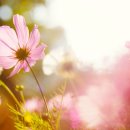 신도시다방 이미지