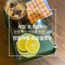 카페 윌로우(cafe willow) | 카페위핑윌로우🧸🤎 내돈내산 정릉 커피 맛집 그릭요거트맛집 정릉 야외석 반려동물동반 가능