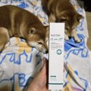 제나헬스케어 | 제코의 페토세라 강아지 귀 세정제 클이어 EEF 사용 후기