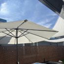 스테이보나 이미지