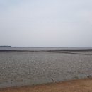 영일횟집 - 포항시 북구 대곡로 55-25 | 영일횟집