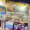 동경참치 네이버블로그