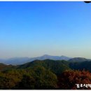 남산건강원 - 괴산군 읍내로 309 | 남산건강원