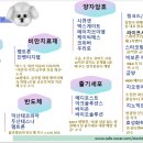 동원정공 이미지