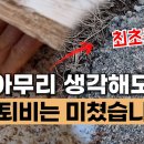 에너지 농법 이장집 유튜브 보시는 분 계신가요? 이미지