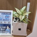 스마일팩토리치과교정과치과의원 이미지