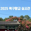 옥구마을진입로 | 군산 옥구향교 실시간 배롱나무 2025년 개화상황