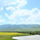 자연의모든것 이미지