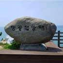 5월 5일(금) 월 5일~6일(금토)남도 섬여행/ 완도 청산도 해남 땅끝마을/보길도/노화도 섬일주여행.♡265,000원.36석리무진운행 이미지