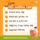 제로네 펫쌀롱 이미지